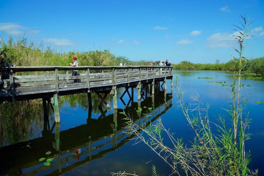 A mighty trail in Everglades national park