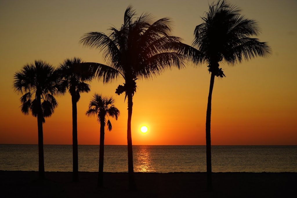 Biscayne Island